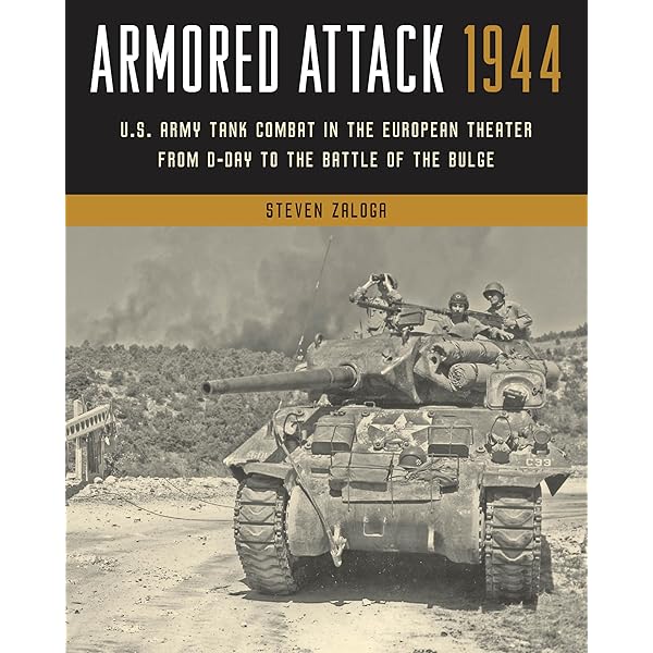 Amazon.com: Combat History of Sturmpanzer-Abteilung 217